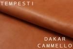 DAKAR CAMMELLO