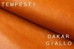 DAKAR GIALLO