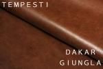 DAKAR GIUNGLA