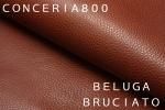 BELUGA BRUCIATO