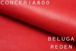 BELUGA REDEN