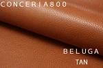 BELUGA TAN