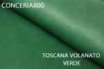 TOSCANO VOLANATO VERDE