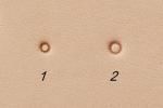 シード(Seeds)