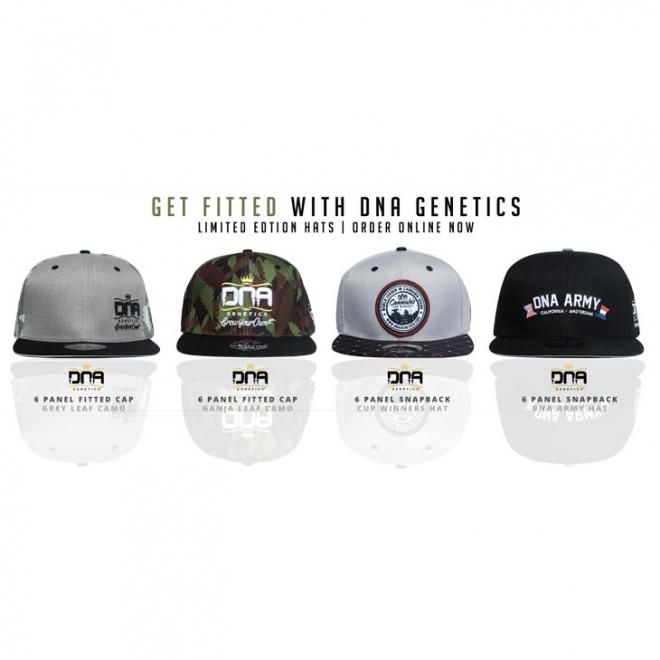 smoker universe dna genetics 6 panel fitted hat gray leaf camo 通販