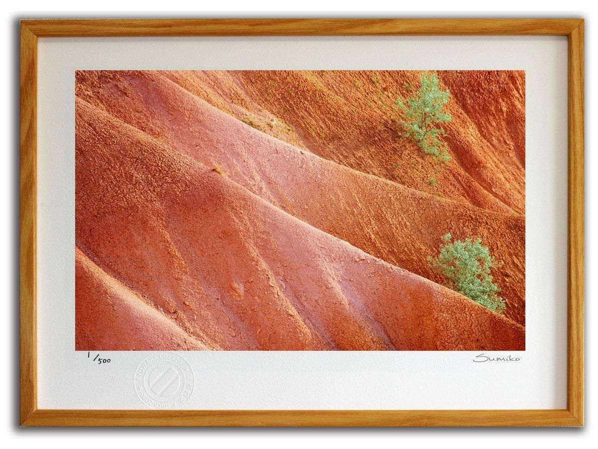【版画 絵画】ブライスキャニオン国立公園(スミコ スコット)/インテリア 壁掛け 額入り アート アートパネル アートフレーム
