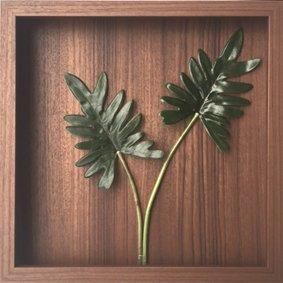 【リーフパネル】 クッカバラ
