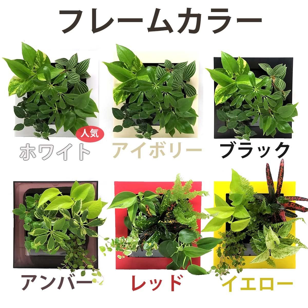 壁掛け観葉植物「ミドリエ」(壁面緑化)木目調 〜サントリー・トヨタの新提案〜 絵を飾るようにみどりを飾る