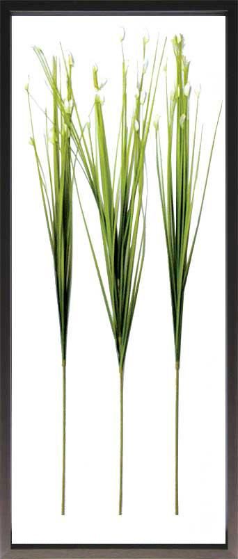 《リーフパネル》F-style Frame Flower Grass(フラワーグラス)