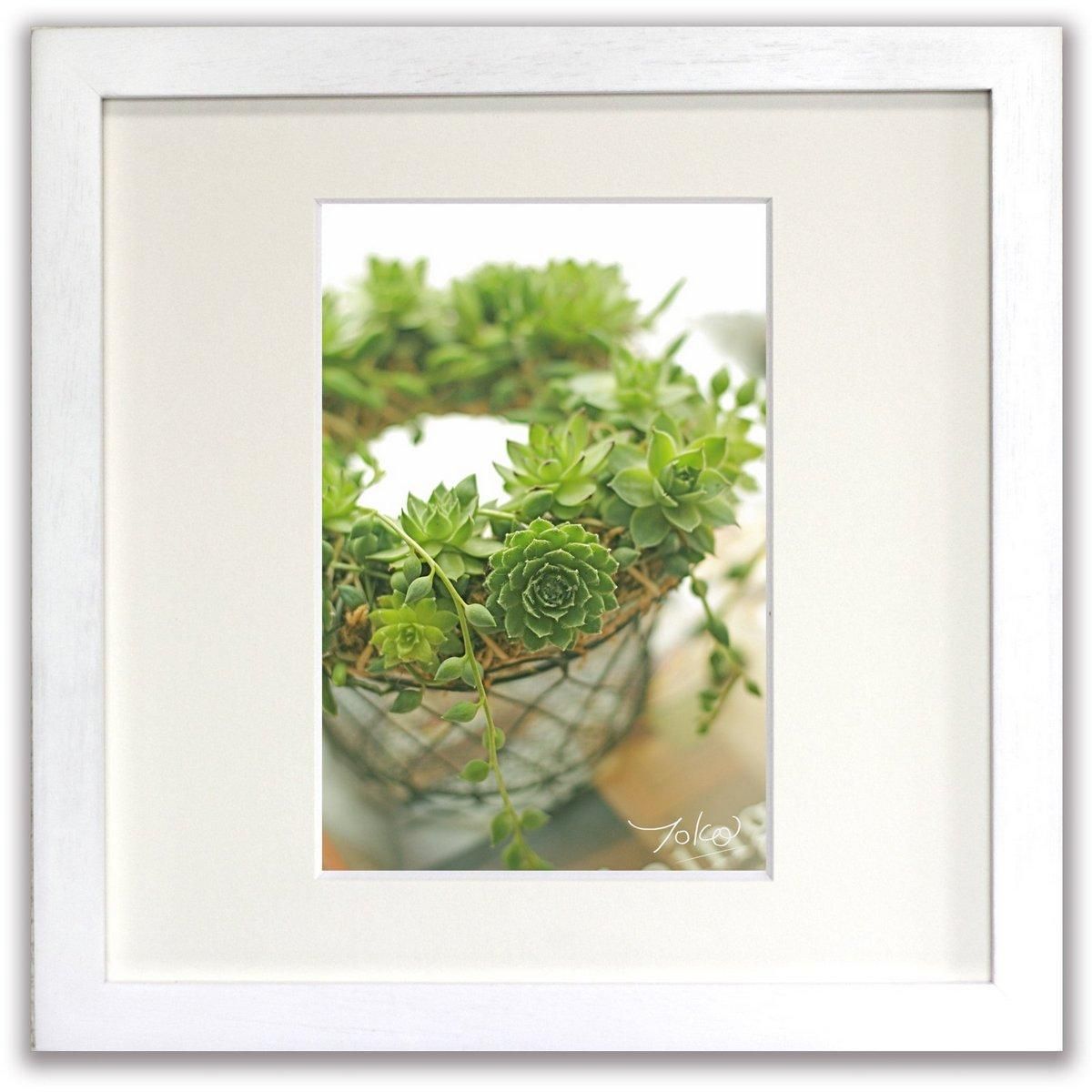 《ジクレー版画》Green Grow (グリーングロウ)〔竹内陽子〕/リビングを華やかに彩るインテリア。絵画のようなフラワーフォト