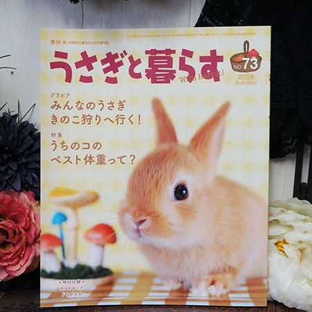 マガジンランド うさぎと暮らす No 73 京都 うさぎ専門店 うさぎ庵