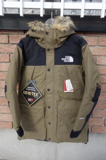 the north face mountain down coat