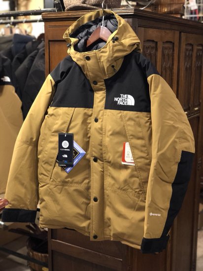 the north face mountain down jacket