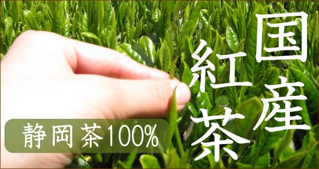 静岡茶100%国産紅茶