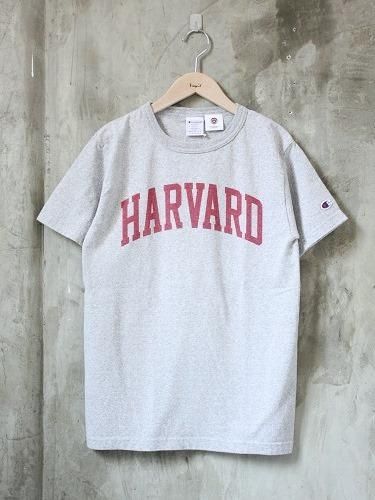 Champion 【HARVARD】 Tee mens