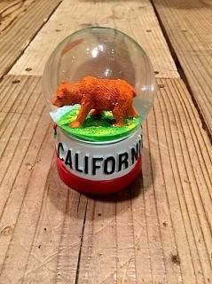 jackson matisse / ジャクソンマティス california snow dome カリフォルニアスノードーム
