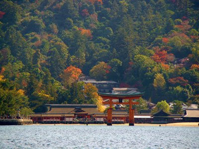 厳島神社の社殿と原生林