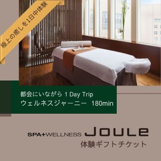 SPA & WELLNESS Joule／ハイアットリージェンシー東京スパギフト券ウェルネスジャーニー180mins
