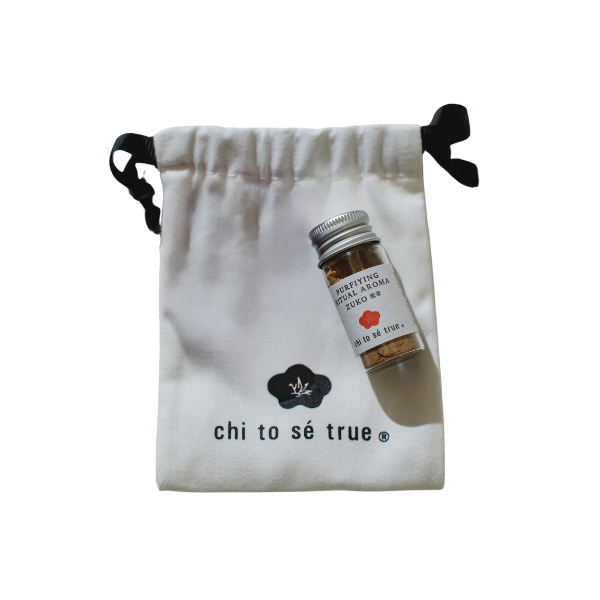 chi to sé trueۥԥե󥰥奢륢ޥɹñʡ