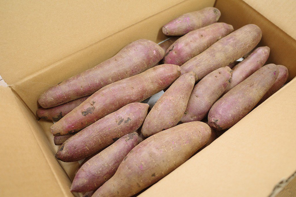 755.茨城県産　紫芋　ふくむらさきいも　箱込み5kg