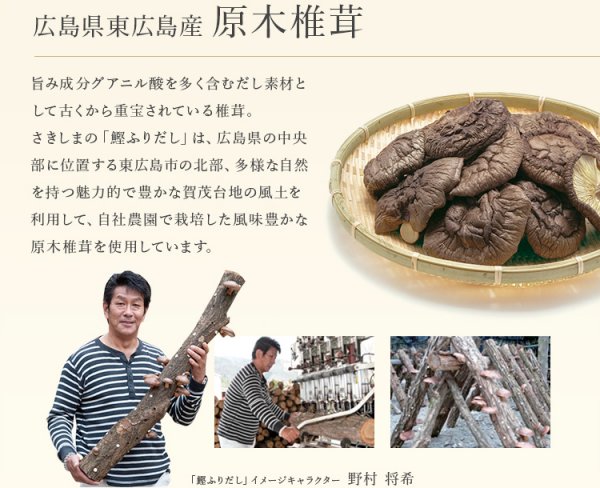 西条 鰹ふりだし 50包入 【国産 だしパック 万能和風だし】 - 田庄の焼き海苔取扱店 美味しい焼き海苔屋