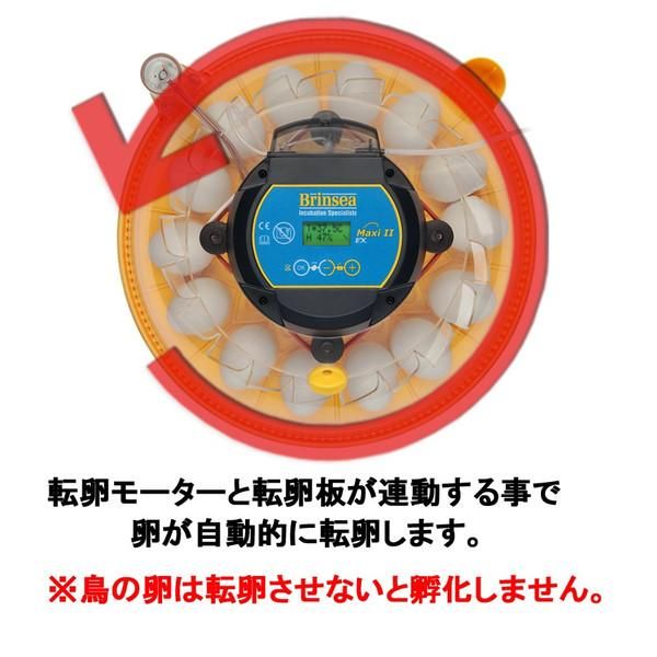 マックスアドバンスEX II 孵卵器 湿度管理可能 - 正規輸入代理店