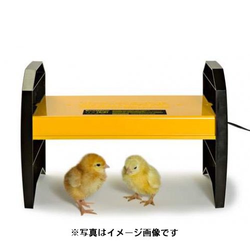 エコブルダー20 育雛用保温ヒーター 旧タイプ - ベルバード | 孵卵器