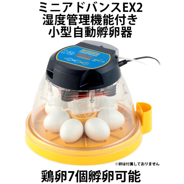 公式通販店 ベルバード 鳥用小型孵卵器 リトルママ 自動転卵・自動温度