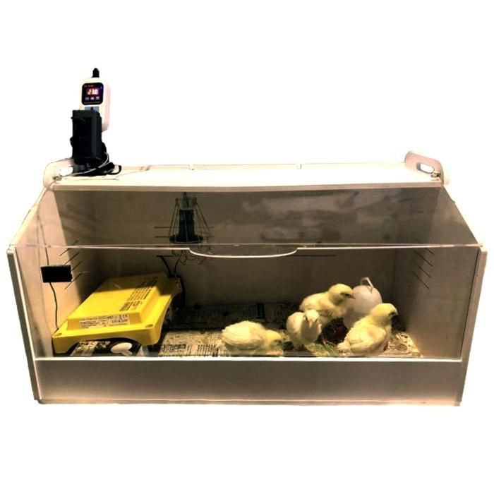 育雛器(いくすうき) - 出展のお知らせ 育雛器(いくすうき) - 出展のお知らせ