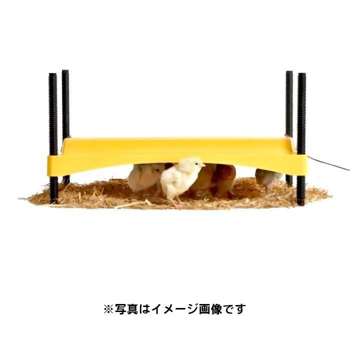 ★送料無料！育雛器　保温器　温湿度管理飼育ケース　バードブルダーS育雛・中古品★ バードブルダーS 育雛器・ヒナ飼育ケース - 酸素濃度自動調整