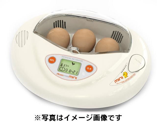 孵卵器 リトルママペット用品 - urtrs.ba