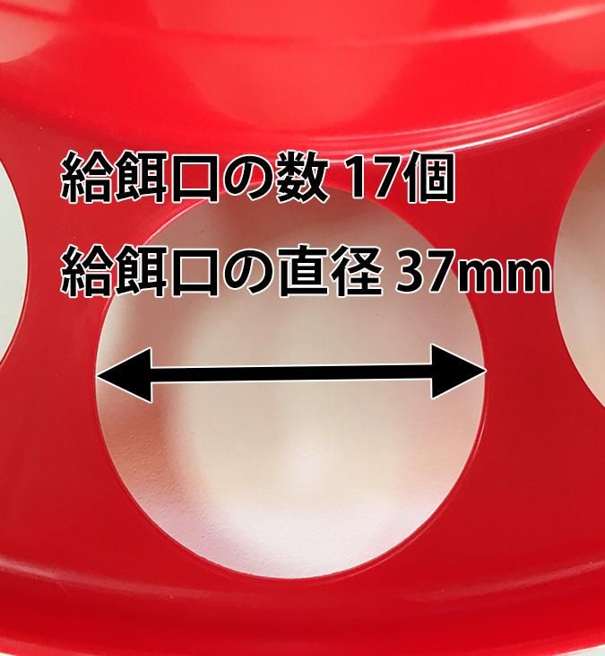 鳥用・ニワトリ用 自動給餌器 容量4Kg (クリア緑・赤) - 出展の 鳥用・ニワトリ用 自動給餌器 容量4Kg (クリア緑・赤) - 出展の