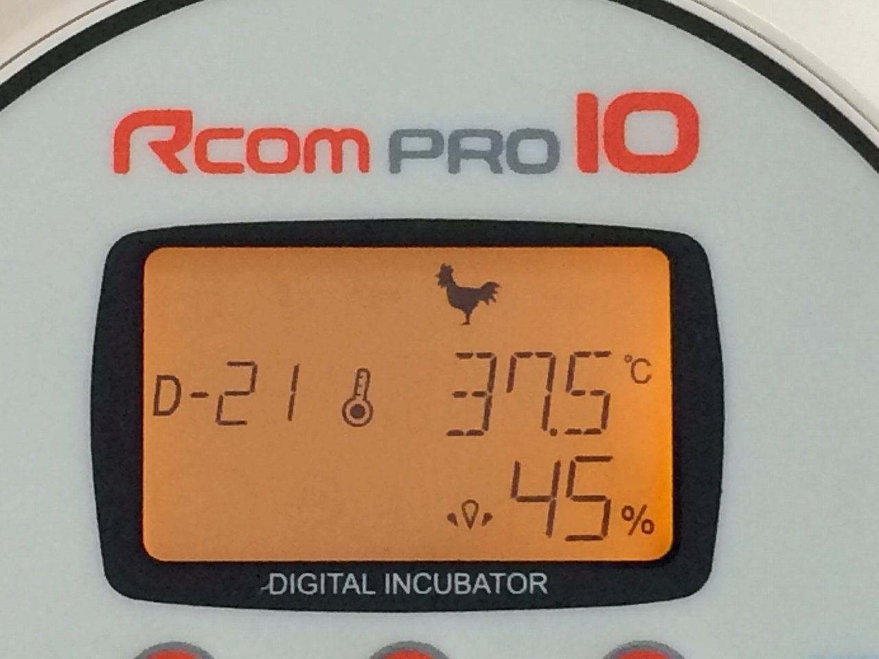Rcomプロ10 小型自動孵卵器(ふ卵器・ふ卵機) | 正規輸入代理店 ベルバード