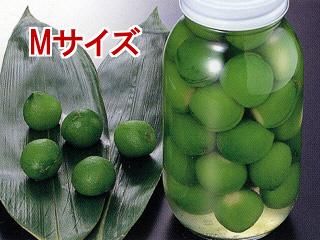 Amazon.co.jp: 愛媛県稚児皐月桃使用 桃の便り(20個入)大切なに