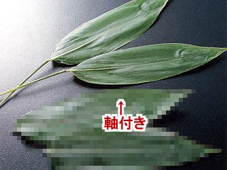 国産笹の葉（軸付き） 《冷蔵*》 - 共栄食品オンラインショップ - 業務