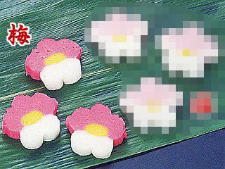 饤ߡ 