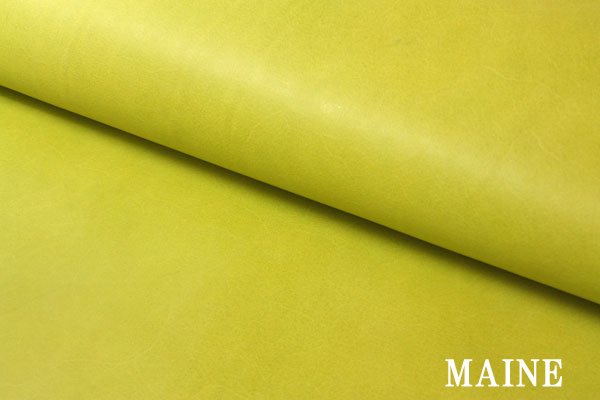 Maine Clorofilla 黄緑