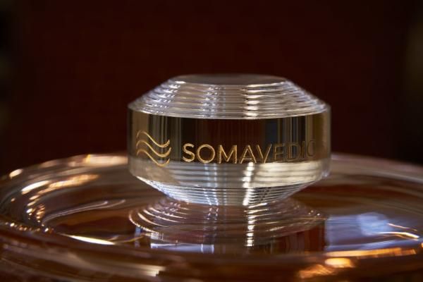 ソマヴェディック　ポータブルボタン　新品 SOMAVEDIC《ソマヴェディック》ポータブルボタン