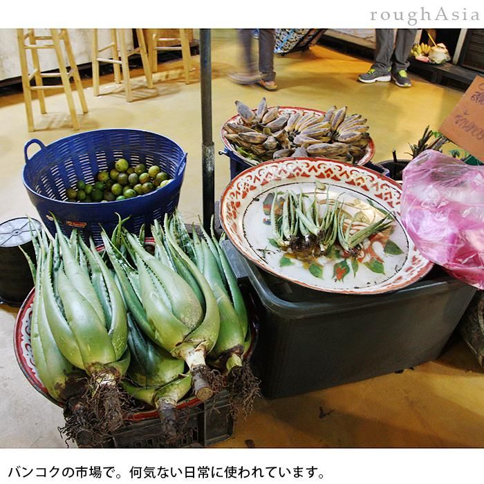 タイ》花柄レトロトレー /お盆 40cm 3色(赤・緑・青) ホーロー タイ》花柄レトロトレー /お盆 40cm 3色(赤・緑・青) ホーロー