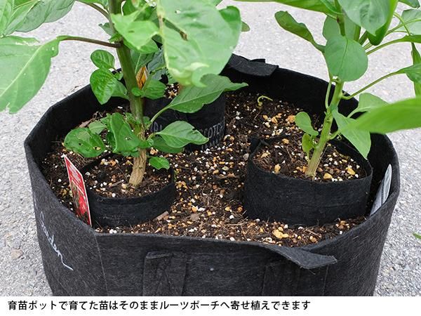 寄せ植え用にもおすすめ ルーツポーチ 育苗用ポット 薄型 植物と地球にやさしい不織布の植木鉢 アジアの台所用品や雑貨小物 アジアン雑貨ショップ ラフエイジア