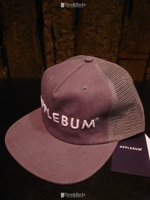 APPLEBUM / VINTAGE WASH MESH CAP [GRAY] - THINKTANK ltd