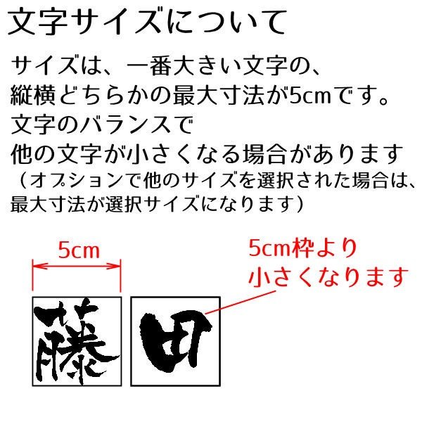 ステンレス調アクリル切り文字表札 5cmサイズUP可 漢字 英数字