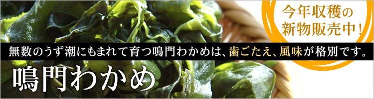 2025ǯʪ ¢狼