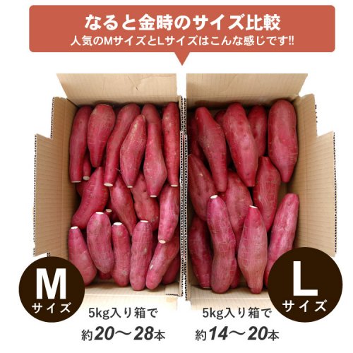なると金時 5kg 秀品 箱入 人気のMまたはLサイズが選べます（徳島県 ...