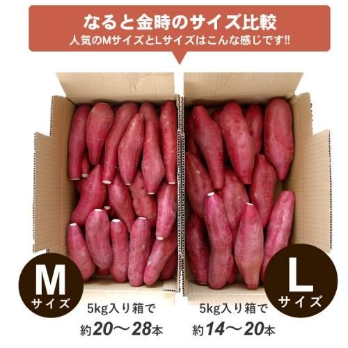 新もの！8月上旬よりお届け開始】なると金時 5kg 秀品 箱入 人気のM