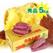 送料無料 さつまいも なると金時 5kg 秀品 箱入 サイズM/Lサイズお任せ(徳島県鳴門市産 鳴門金時 さつまいも)お歳暮 お中元 贈答品