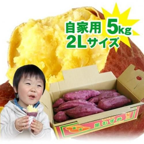 ̵ ʤȶ Τह2L  5kgȢ 縩ΤĮ ʤȶ Ĥޤ 