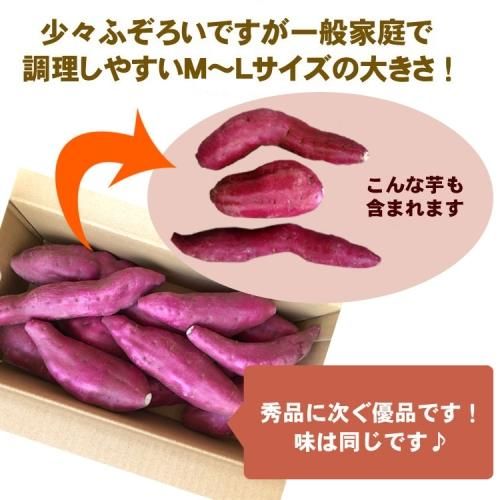10OFF̵ դΤʤȶ3kg 縩Ի  Ĥޤ ھܺٲ