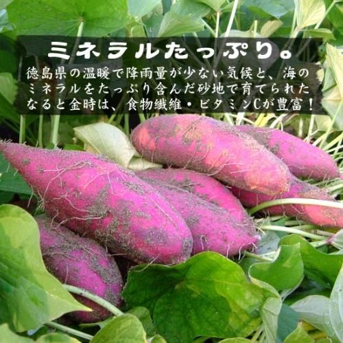 10OFF̵ դΤʤȶ3kg 縩Ի  Ĥޤ ھܺٲ