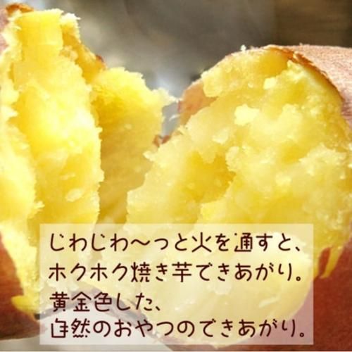 10OFF̵ դΤʤȶ3kg 縩Ի  Ĥޤ ھܺٲ